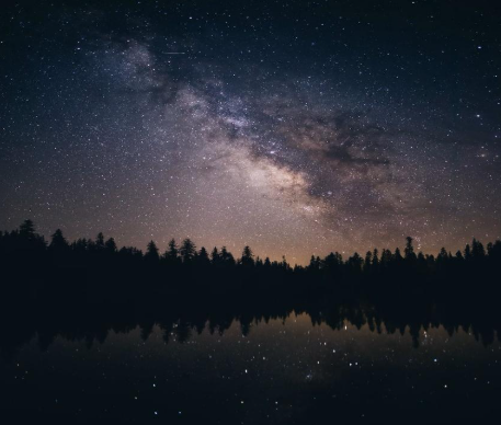 The Lobster Trap by Joel Getman 1